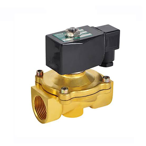 Électrovanne pour fluide 2/2 voies série 2W (à action directe + pilotée)