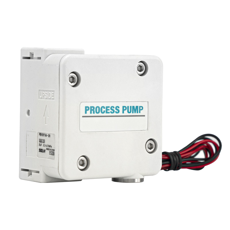 Pompe de procédé PB1011